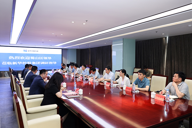 合肥市蜀山區委副書記、區長楊森一行深入新華控股集團調研指導